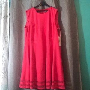 Pink Perfection Dress